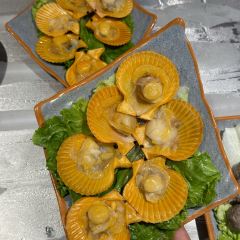 XIN SHI HUI User Photo
