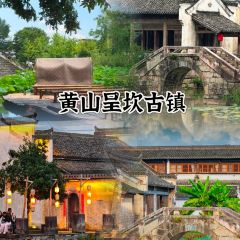 灵山酒酿 User Photo