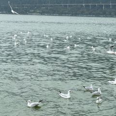 AI SHANG JUN User Photo