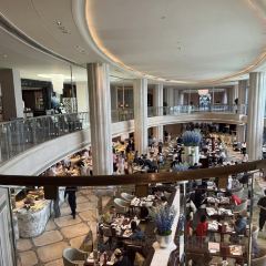 CENTOUNO User Photo