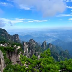 靈山酒釀張用戶圖片