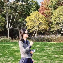 一尺稻田咖啡 User Photo