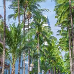 缅花小吃(白象湖店) 여행 사진