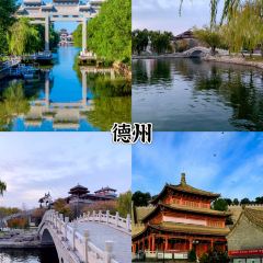 WEIDAOJIA MAMACAI User Photo