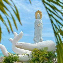 嗲嗲的椰子鸡·海南火锅(亚龙湾博后村店) User Photo