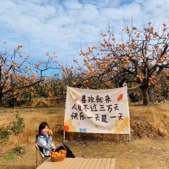 一尺稻田咖啡 User Photo