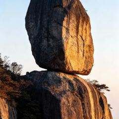 靈山酒釀張用戶圖片