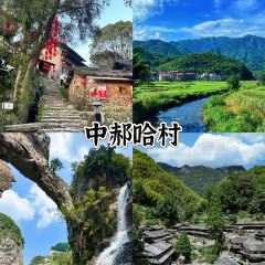BENJI XIAOPAO User Photo