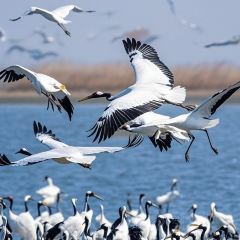 LAO SAN YANG User Photo