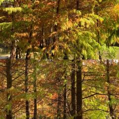 铁锅年代(天台店) 여행 사진