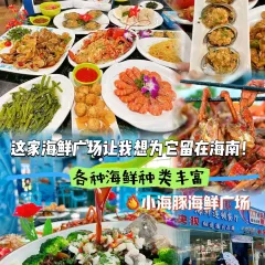 小海豚海鲜广场(清水湾店) User Photo