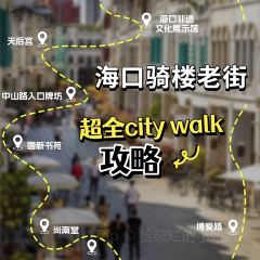 SNT&TEA 여행 사진