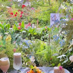 屋顶咖啡·日落甜茶·雪山花园 ·bistro 여행 사진