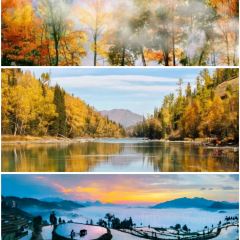 LIN SHANG REN JIA User Photo