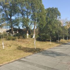 宜春市汤老三夜宵店(秀江风情店) User Photo