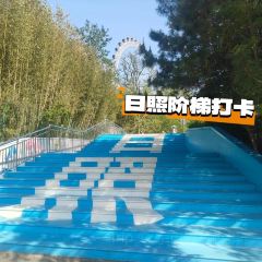 哎呀媽媽喲嵐山豆腐木柴大鍋魚張用戶圖片
