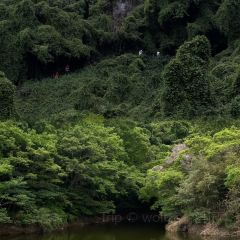 海峡食府海鲜大排档 User Photo
