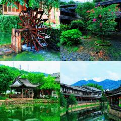 LIN SHANG REN JIA User Photo