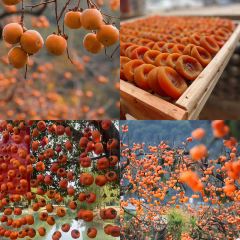 瑶乡饭店 여행 사진