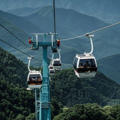 LAO SAN YANG User Photo