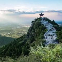 花林農家小院張用戶圖片