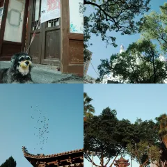 圆圈松跃生烫(新华商城小区店) User Photo