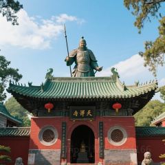 ZHENGLAODA User Photo