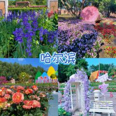花溪牛肉粉張用戶圖片