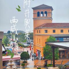 魏家凉皮(王府井奥莱西咸小镇店) User Photo