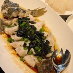 JUBILEE GARDEN User Photo