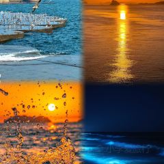 SEAF0OD MASTER User Photo