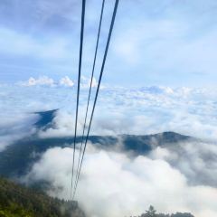 ZHUSANTIANPIYA User Photo