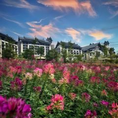 XIAO BEI JIANG HE XIAN User Photo