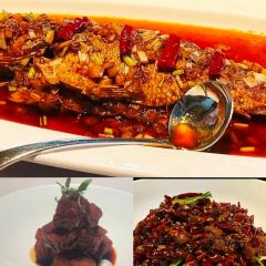 Camellia & Seasons 여행 사진