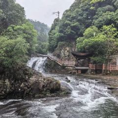 诸暨正宗次坞打面(人民西路店) User Photo