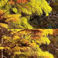 铁锅年代(天台店) 여행 사진