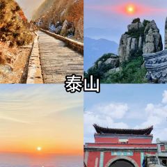 WEIDAOJIA MAMACAI User Photo