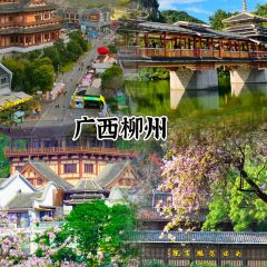 颍阳水席(登封店) User Photo