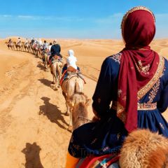 Yan Chi Qing Dun Yang Rou Shou Zhua Lamb Restaurant User Photo