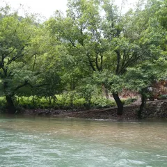 翠翠油茶坊(灵川店) User Photo