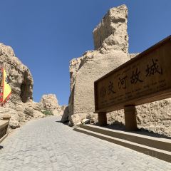 苏来曼拌面王 User Photo