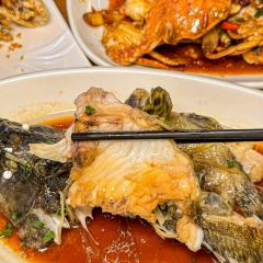 dan jia yu pai User Photo