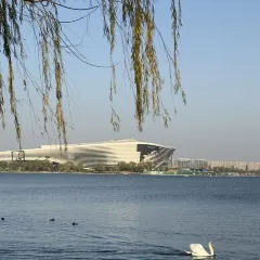 AWU YELLOW RIVER COMMON CARP User Photo