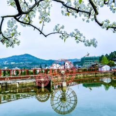 XIANG WEI CUN GU CHANG CAI User Photo