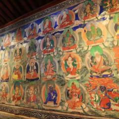 LAOSUIYUAN User Photo