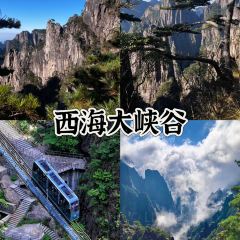 灵山酒酿 User Photo