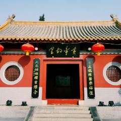 ZHENGLAODA User Photo