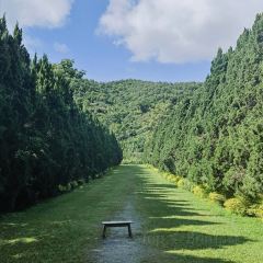 Cypress Lanes 여행 사진