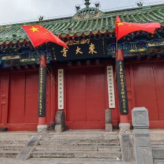 四代祖传老陈黄焖鱼(维中后街店) User Photo