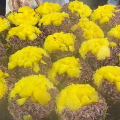 MANFEILONG User Photo